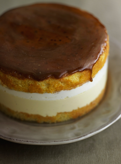 metamorphose(メタモルフォーゼ)