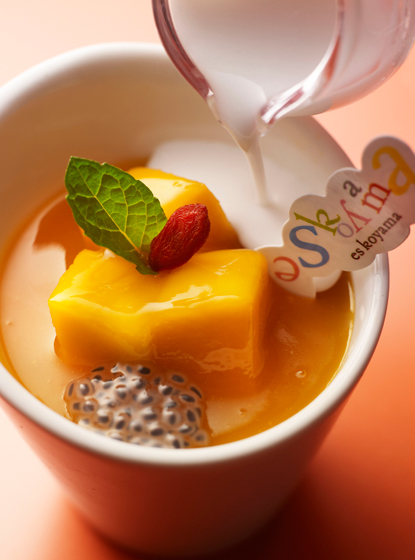 マンゴープリン