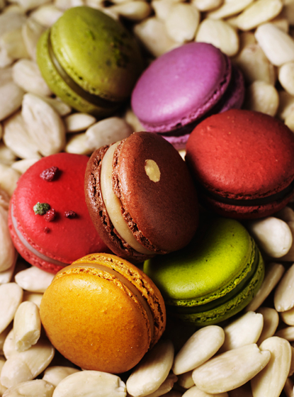 Macaron Gift マカロンギフト