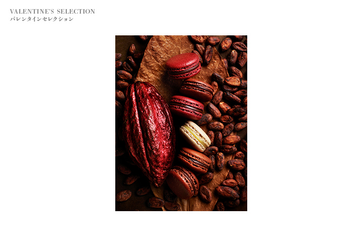VALENTINE'S SELECTION バレンタインセレクション