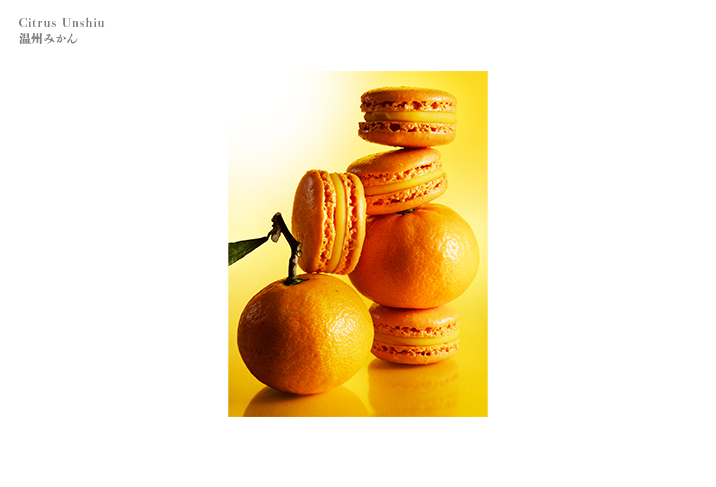 温州みかん