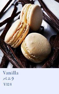 バニラ