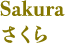 Sakura　さくら