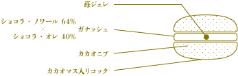 苺＆ショコラ 断面図