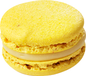 Grapefruit グレープフルーツ