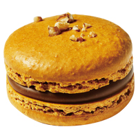 キャラメルサレ