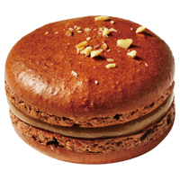 ジャンドゥーヤ