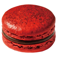 トンカ＆オランジュ