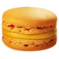 Carrot & Orange　にんじん＆オレンジ