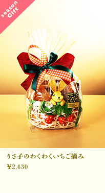 うさ子のわくわくいちご摘み