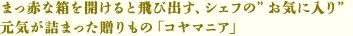 まっ赤な箱を開けると飛び出す、シェフの“お気に入り” 元気が詰まった贈りもの「コヤマニア」