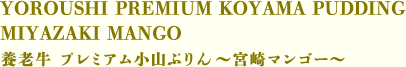 ●YOROUSHI PREMIUM KOYAMA PUDDING MIYAZAKI MANGO　養老牛 プレミアム小山ぷりん～宮崎マンゴー～