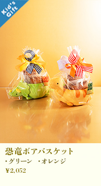 恐竜ボアバスケット(グリーン・オレンジ)