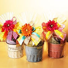 ジョイフルパステルバケツ(アイボリー・ブルー・ピンク)