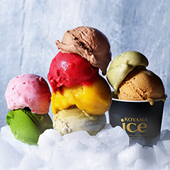 KOYAMA ice（発送のみ）
