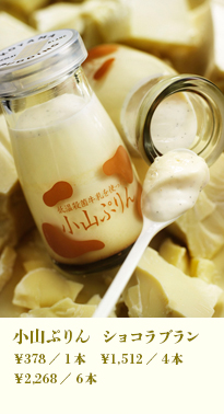 小山ぷりん　ショコラブラン
