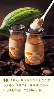 小山ぷりん スペシャリティカカオ～メキシコホワイトカカオ74％～