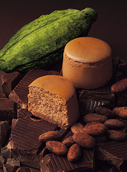 小山チーズ＋ショコラ メキシコホワイトカカオ74%