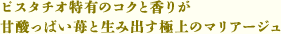ピスタチオ特有のコクと香りが 甘酸っぱい苺と生み出す極上のマリアージュ