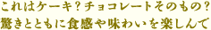 これはケーキ?チョコレートそのもの? 驚きとともに食感や味わいを楽しんで