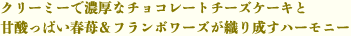 クリーミーで濃厚なチョコレートチーズケーキと 甘酸っぱい春苺＆フランボワーズが織り成すハーモニー