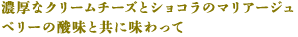 濃厚なクリームチーズとショコラのマリアージュ ベリーの酸味と共に味わって