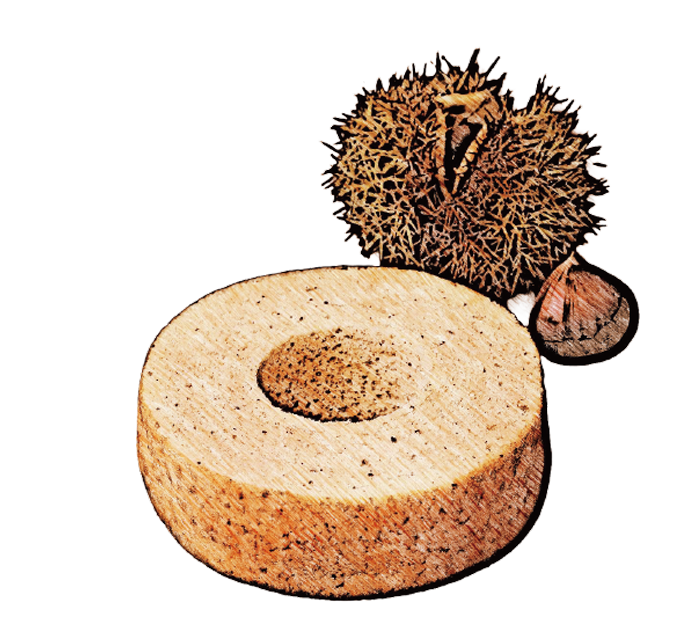WINTER GIFT 2025