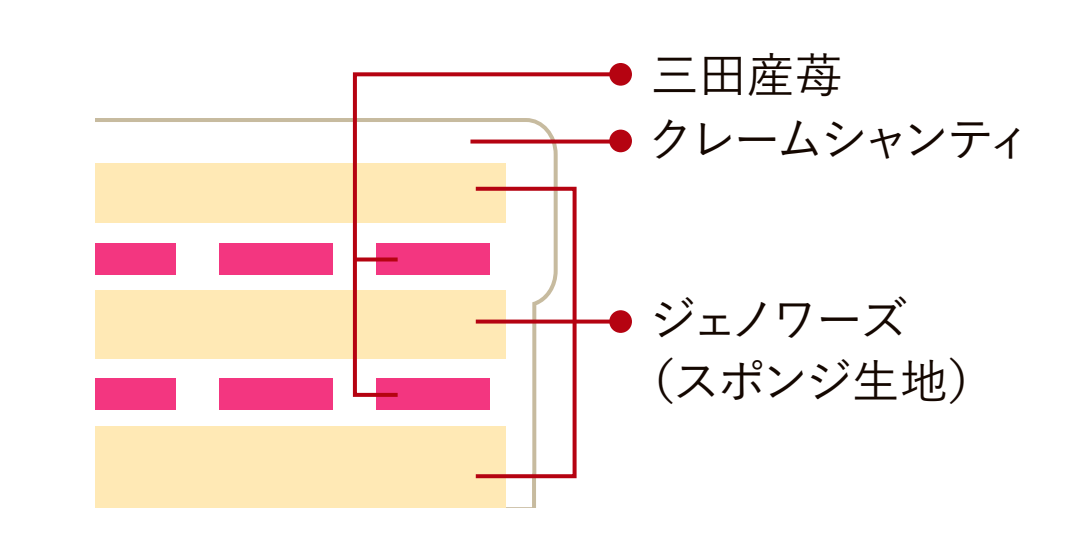 ~三田苺スペシャル~ 生クリームデコレーションの断面図。三田産苺、クレームシャンティ、ジェノワーズ(スポンジ生地)