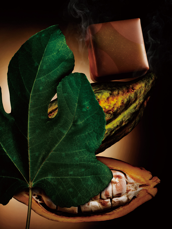 Genesis (Fig Leaves & Smoked Branch)