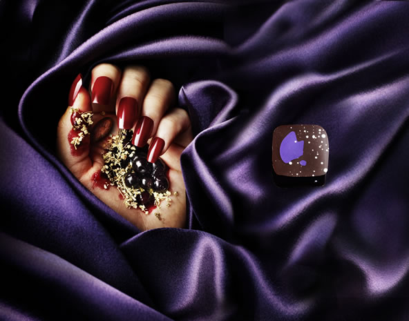 Elderflower & Cassis