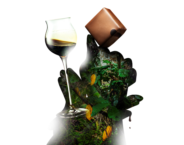 Shoyu Soy Sauce Nouveau