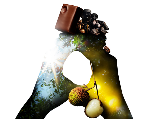 Coffee Cherry (Geisha) & Lychee