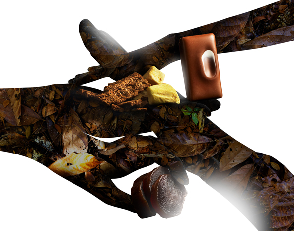 Japanese Pickled Radish Praline