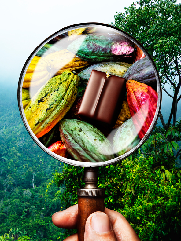 San Martin --Voyage sans fin en quête du cacao--