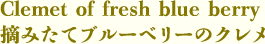 摘みたてブルーベリーのクレメ