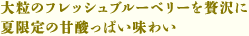 大粒のフレッシュブルーベリーを贅沢に 夏限定の甘酸っぱい味わい