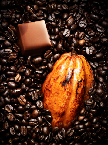 Kenyan Coffee & Chanchamayo48%