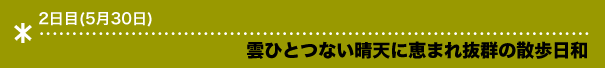 雲ひとつない晴天に恵まれ抜群の散歩日和