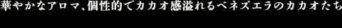 華やかなアロマ、個性的でカカオ感溢れるベネズエラのカカオたち
