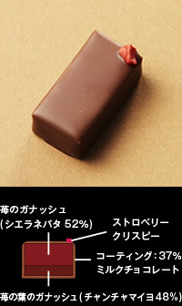 2、赤と緑 No.2（苺＆リーフ）