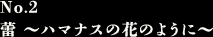 ◆No.2 蕾 ～ハマナスの花のように～