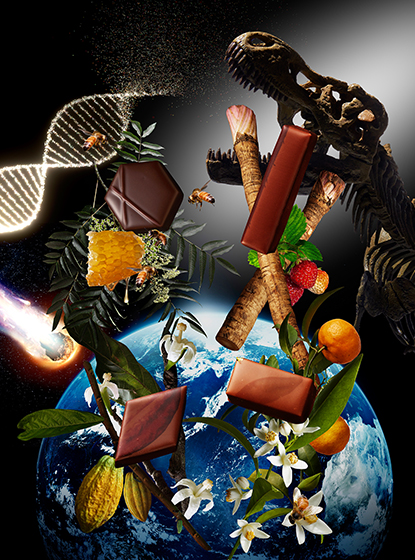 SUSUMU KOYAMA’S CHOCOLOGY 2020