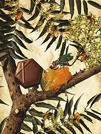 No.1 本能-Instinct～からす山椒はちみつ～