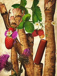 No.2 知恵-Wisdom～牛蒡＋苺～