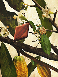 No.3 神-God～テハテ～