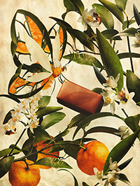 No.4 RITA-Altruistic～大和橘～