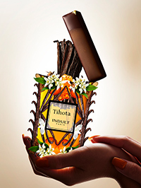 第二章 ― Tihota ティオタ