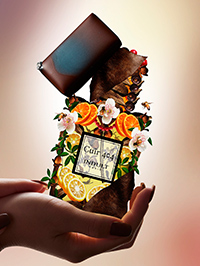 第四章 ― Cuir キュイール