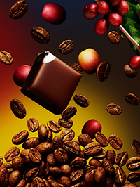 コロンビア フォレスト・ゲイシャヤ