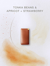 トンカビーンズ＆アプリコット＋苺